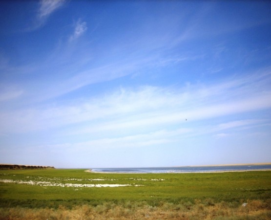Озеро Маныч-Гудило на wikipoints.ru