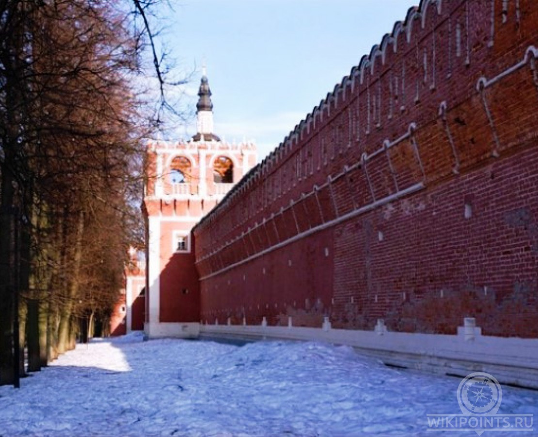 Донской монастырь зимой фото