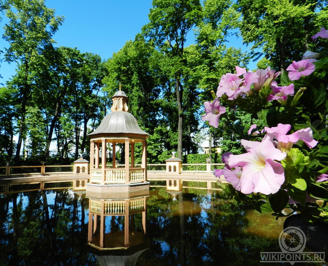 Сад олимпия санкт петербург фото