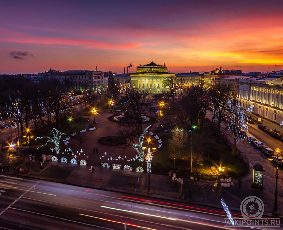 Александрийский лавр фото