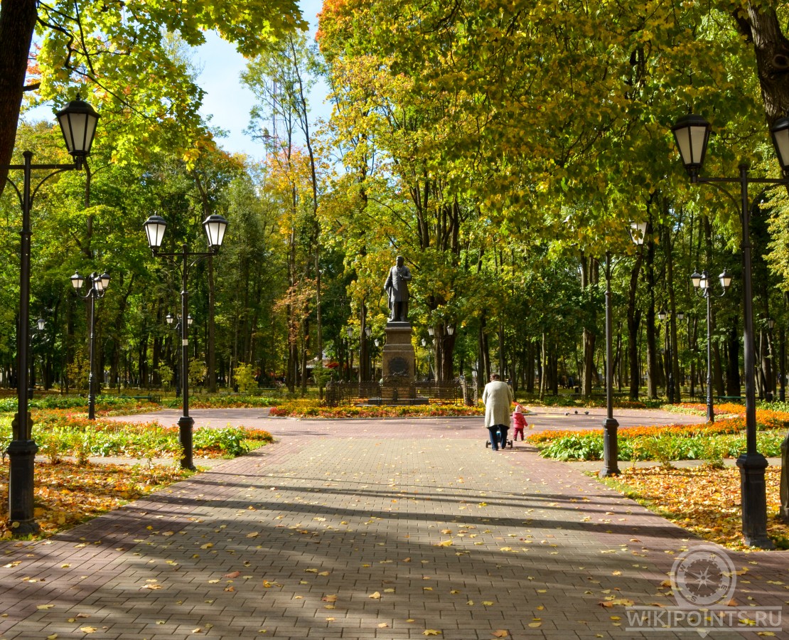 Сад блонье смоленск фото