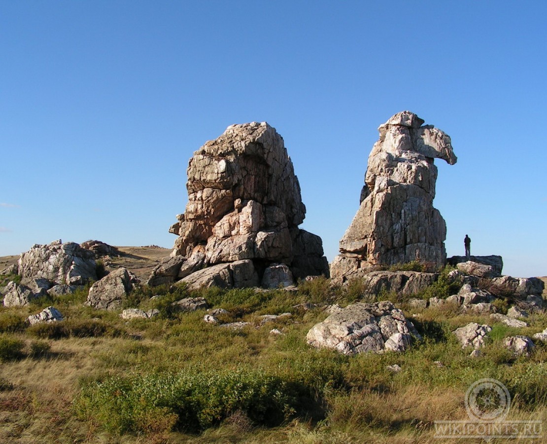 Гора верблюд самара фото