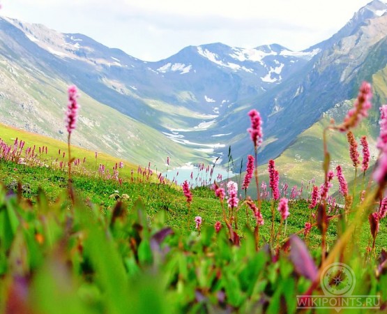 Долина цветов на wikipoints.ru