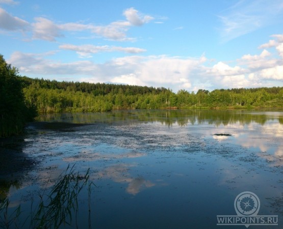 Клюквенное озеро на wikipoints.ru