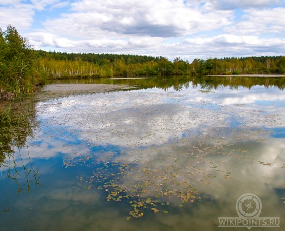 Клюквенное озеро на wikipoints.ru
