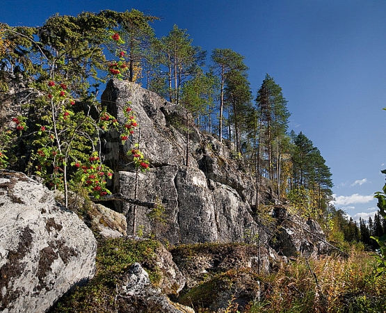 Национальный парк Паанаярви на wikipoints.ru