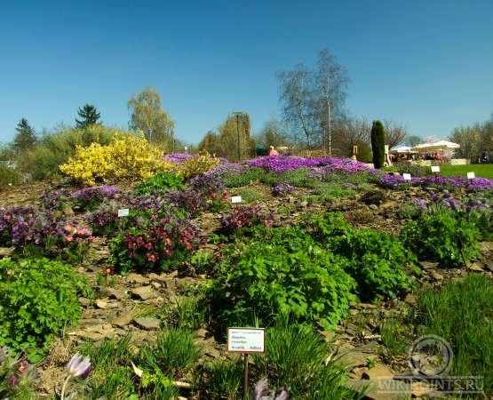 Пражский ботанический сад на wikipoints.ru