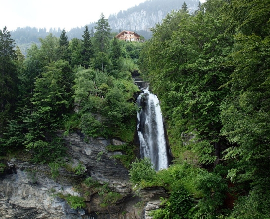 Рейхенбахский водопад на wikipoints.ru
