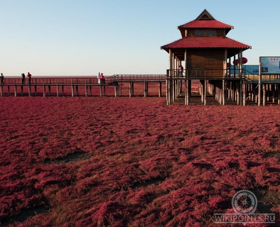 Красный пляж Паньцзинь на wikipoints.ru