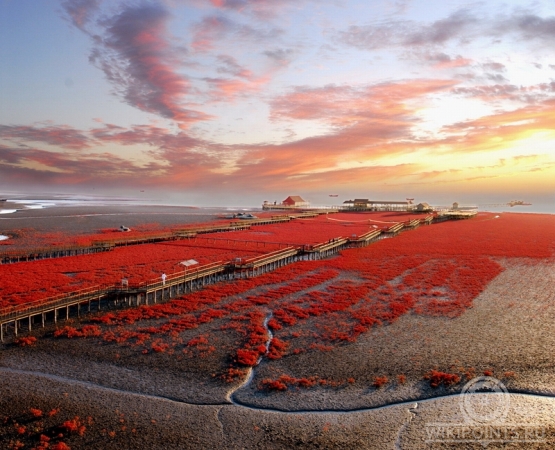 Красный пляж Паньцзинь на wikipoints.ru