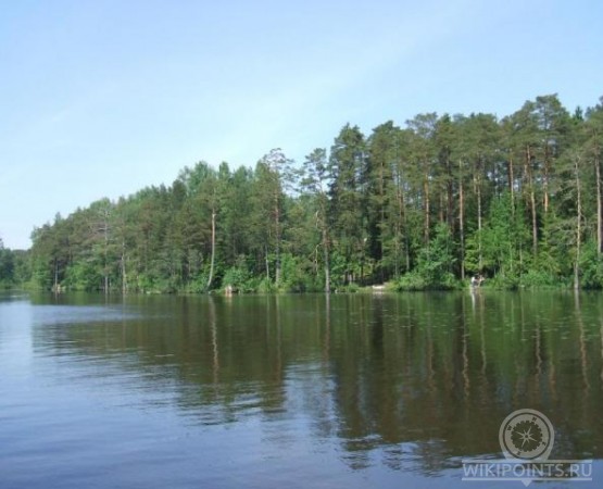 Щучье озеро на wikipoints.ru