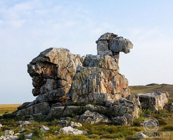 Гора Верблюд на wikipoints.ru